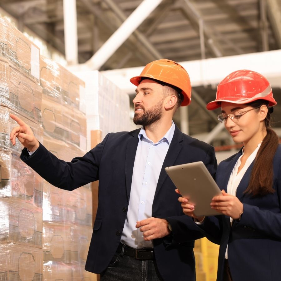 Our services include